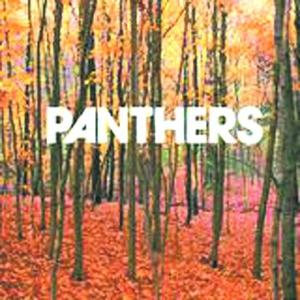 PANTHERS