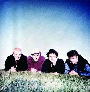 DESMEMBERMENT PLAN