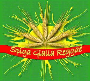 SPIGA GIALLA REGGAE