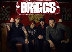 the briggs