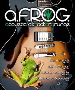 a.F.R.O.G. - acoustic Folk Rock Or Grunge