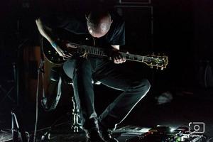 DIRK SERRIES MICROPHONICS