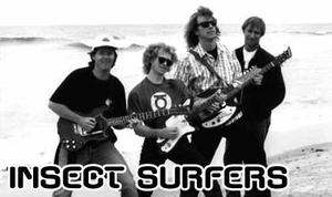 INSECT SURFERS