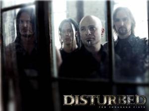 disturbed