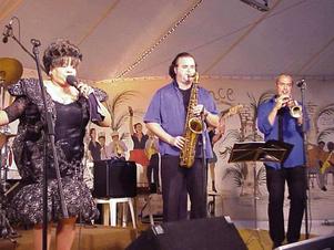 sandra hall & gnola blues band