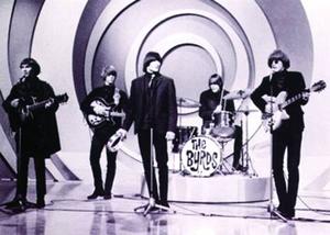 BYRDS