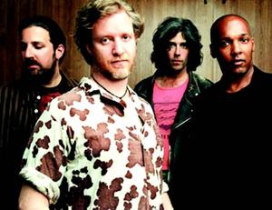 spin doctors