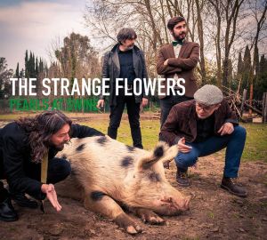 the strange flowers