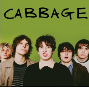 CABBAGE