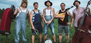 Steve'n'Seagulls