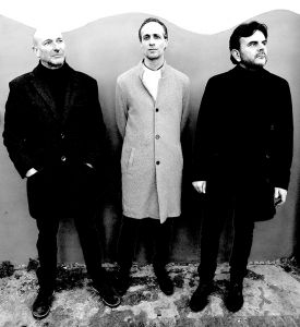 PICCOLI ANIMALI SENZA ESPRESSIONE