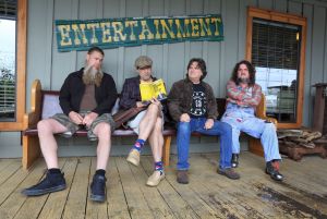 HAYSEED DIXIE