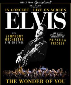 ELVIS THE WONDER OF YOU TOUR