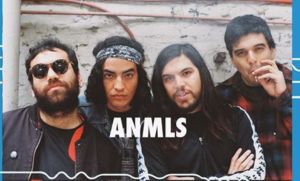 the anmls