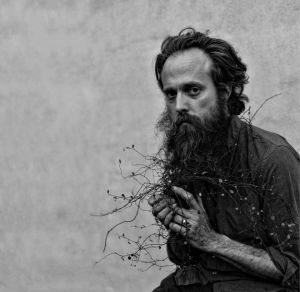 IRON AND WINE