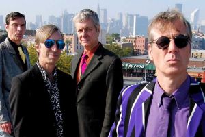 the fleshtones