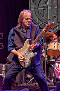 WALTER TROUT