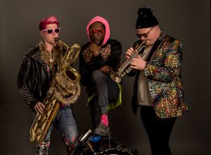 TOO MANY ZOOZ