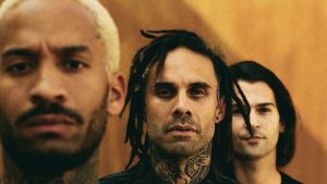 FEVER 333