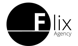 FLIX AGENCY